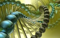 harmonic dna